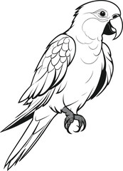 illustration of a vulture
