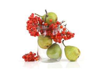 Rowan berries and pears with glass jar isolated on white background.  Ingredients ripe Sorbus berries an pears for jam.