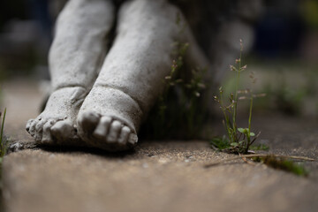 Close-up of the feet of a stone angel statue, with grass and small plants growing around it. The image combines the beauty of art with the resilience of nature.