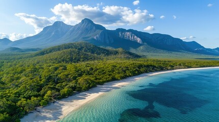 Drone view, tranquil forest, beach, mountain landscape