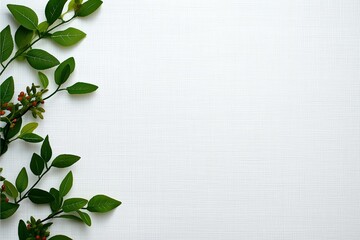 A realistic arrangement of green leaves and small red berries thoughtfully placed on a textured white paper background, creating a fresh and naturalistic visual appeal.