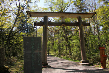 Wooden Torii gate entrance to forest shrine path with stone monument