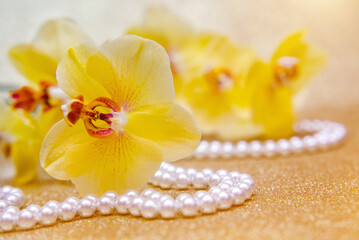 yellow Orchid and pearl necklace on a shiny gold background
