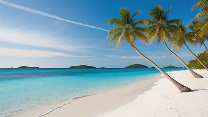 trees on the beach