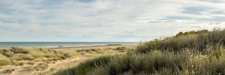 Patagonian steppe coastal landscape, rio negro province, argentina