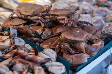 Close up brown crabs on a market stall. Crustaceans, shellfish, seafood. Haagse Market in The...