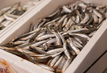 Sprats, sardines in a cool box. Haagse Market in The Hague, Netherlands.