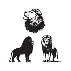 lion head isolated on white,head, lion, animal, vector, cartoon, wild, illustration, tattoo, cat, wolf, dog, mammal, mascot, face, isolated, black, silhouette, symbol, art, white, nature, animals, 