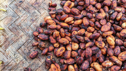 Selective focus of Cacao beans or chocolate fruit are the fruit seeds of the cacao tree (Theobroma cacao). buah kakao