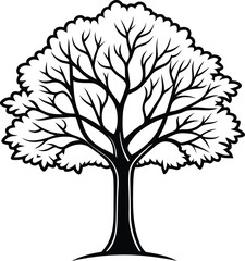 Simple line art Sycamore tree silhouette icon, vector illustration on white background.