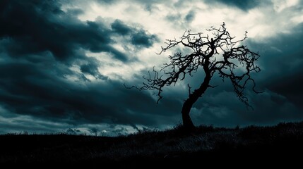 Silhouette of a dead tree against a dark dramatic sky with white clouds evoking themes of despair and peace