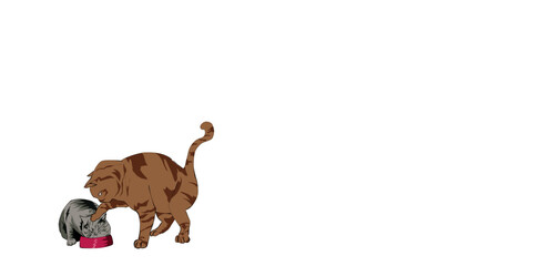 Cat Bullying Another Cat