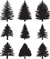 Black silhouettes of a pine tree, Evergreen trees, black and white cliparts