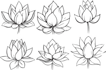 Lotus set Silhouette style, Set vector of flowers and plants