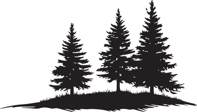 Black silhouettes of a pine tree, Evergreen trees, black and white cliparts