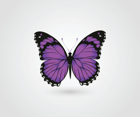 Butterfly logo design template