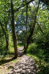 Scenery around drumnadrochit on loch ness