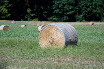 Bales of hay at rural Georgia farm