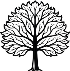 Simple line art Sycamore tree silhouette icon, vector illustration on white background.