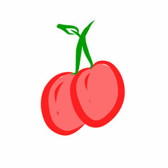 Cherries fruit hand drawn vector illustration 