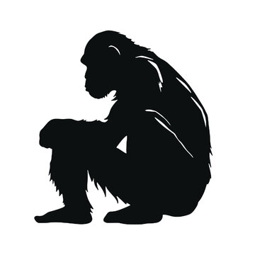 recommend clip art: Chimpanzee silhouette  .  black Chimpanzee silhouette. Chimpanzee silhouette vector.