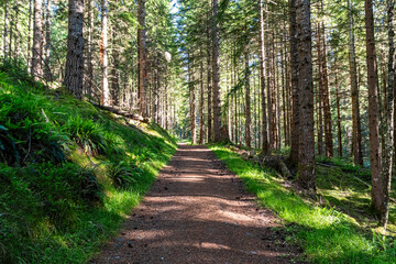 Glen Affric in the scottish Highlands