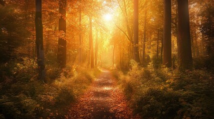 Obraz premium Autumn fiery colors light up a serene forest path, creating an enchanting and peaceful walking experience amidst nature's beauty