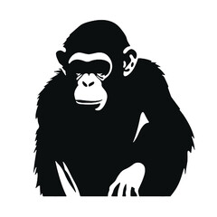 chimpanzee head silhouette vector illustration
