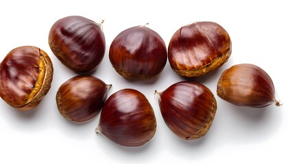 Autumn - Fresh chestnut fruits, Castanea, Horse Chestnut (Aesculus hippocastanum) on white background