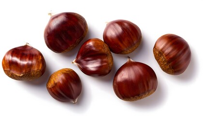 Autumn - Fresh chestnut fruits, Castanea, Horse Chestnut (Aesculus hippocastanum) on white background