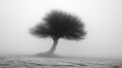 the Peregrine falcon landing on a handler's glove, capturing its grace and precision.