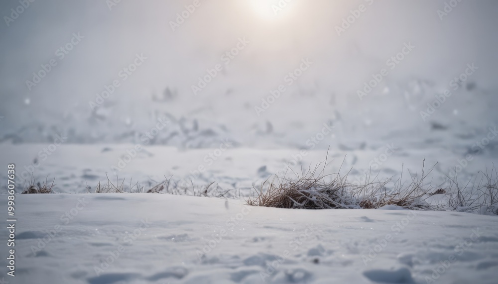 Poster a snowy field with a small patch of grass peeking through the snow, under a bright, hazy sky