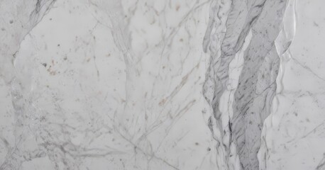 Obraz premium a close-up view marble surface with a textured, white and gray marble pattern
