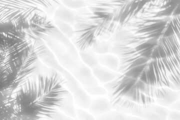 PNG Palm leaves shadow on water background nature destination.