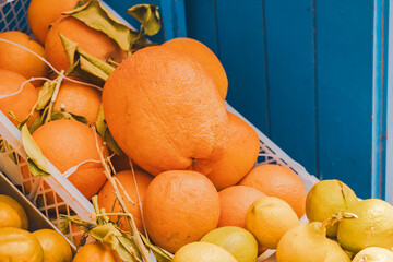 Fresh citrus fruit display at a vibrant juice stall with ripe, grapefruit, oranges, lemons, and...
