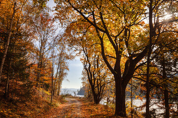 Fototapeta premium Herbstwanderung am See - Bleiloch - Stausee in Thüringen