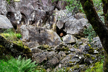 Scenery in Glen nevis scotland