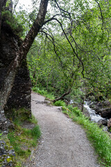 Scenery in Glen nevis scotland