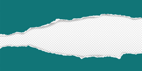 Green paper strips with torn edges and soft shadow are on white transparent background for text or ad.
