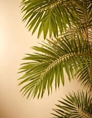 Naklejka premium a close-up view palm tree branch with its long, slender fronds against a light beige background