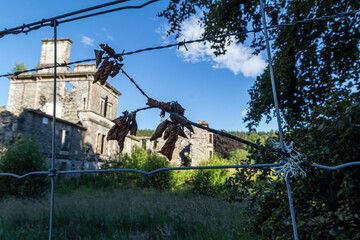 Guisachan House, Glen Affric, Sottish Highlands