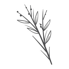 Hand drawn wedding decorative ornaments. Vector illustration