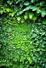 Obraz premium a dense, lush growth of various green leaves and foliage, creating a dense, verdant wall