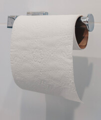 A roll of white toilet paper hanging on a brushed metal holder in a modern bathroom