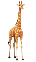 Obraz premium PNG Giraffe wildlife animal mammal.