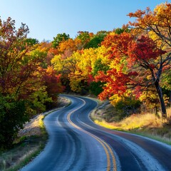 Fototapeta premium Serene scene of a winding road lined with trees displaying their autumn foliage in shades of gold, red, and yellow under a clear blue sky.