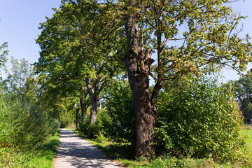Autumn Trees around River Sazava from the central Czech 