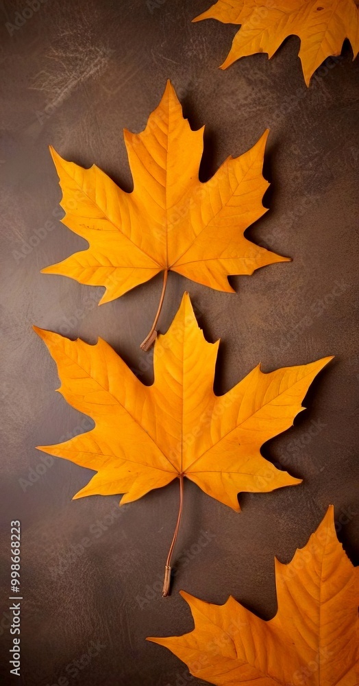 Poster three vibrant yellow maple leaves are arranged in a triangular formation against a dark brown backgr