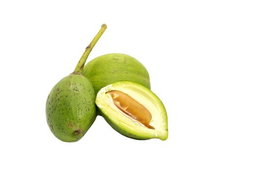 Raw Mahua Fruit Cut or Madhuca Longifolia Fruit Isolated on White Background with Copy Space, Also Known as Kochra, Butter Tree Fruit or Mahwa
