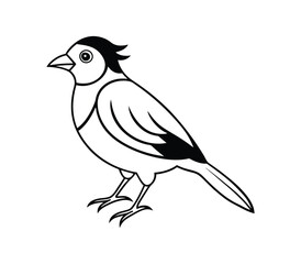 Black and white Bird line art vector on white background